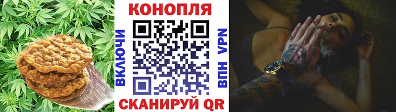 закладки  Крымск  Canna-Cookies конопля 