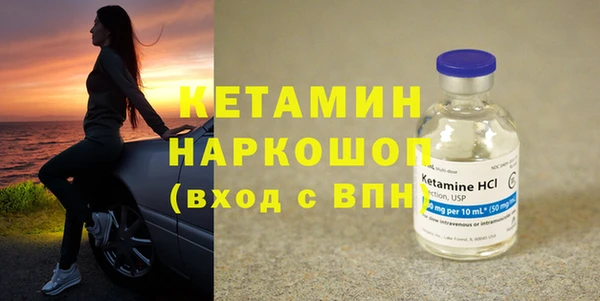 шишки Заволжск