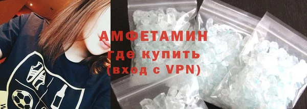 сатива Беломорск