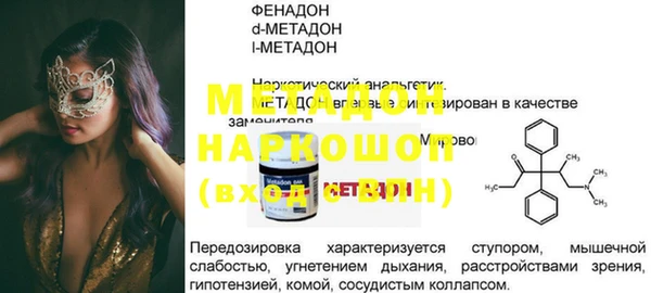 сатива Беломорск