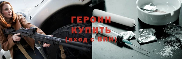 сатива Беломорск