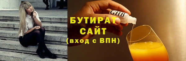 сатива Беломорск
