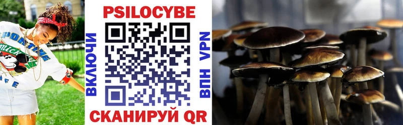 hydra ССЫЛКА  цена   Крымск  Псилоцибиновые грибы мицелий 